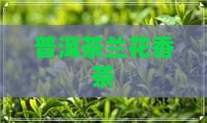 普洱茶兰花香茶