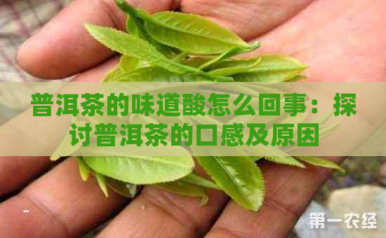 普洱茶的味道酸怎么回事：探讨普洱茶的口感及原因