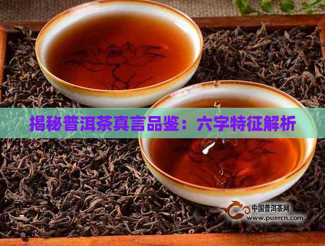 揭秘普洱茶真言品鉴：六字特征解析