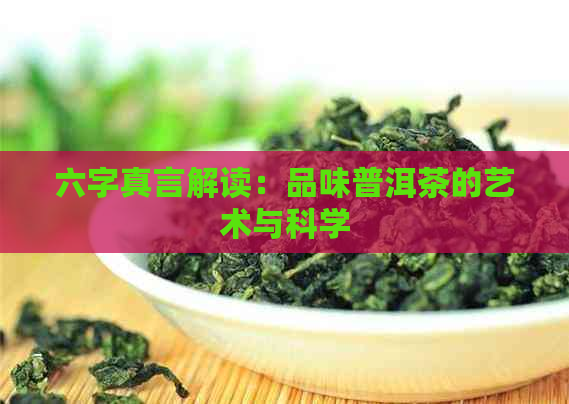 六字真言解读：品味普洱茶的艺术与科学