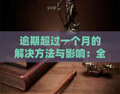 逾期超过一个月的解决方法与影响：全面解析