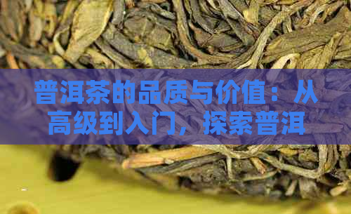 普洱茶的品质与价值：从高级到入门，探索普洱茶的各种类型和特点