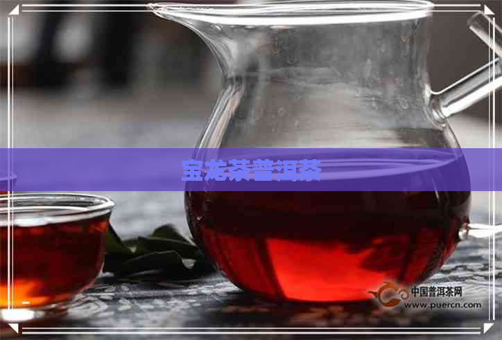 宝龙茶普洱茶