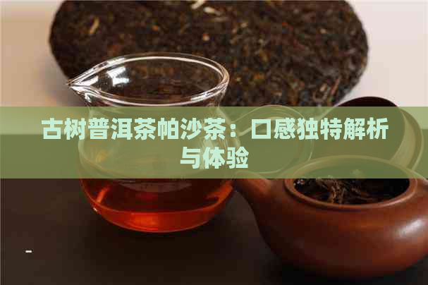 古树普洱茶帕沙茶：口感独特解析与体验