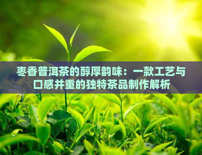 枣香普洱茶的醇厚韵味：一款工艺与口感并重的独特茶品制作解析