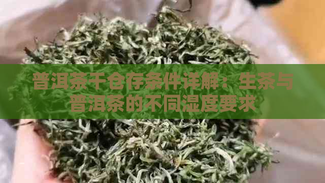 普洱茶干仓存条件详解：生茶与普洱茶的不同湿度要求