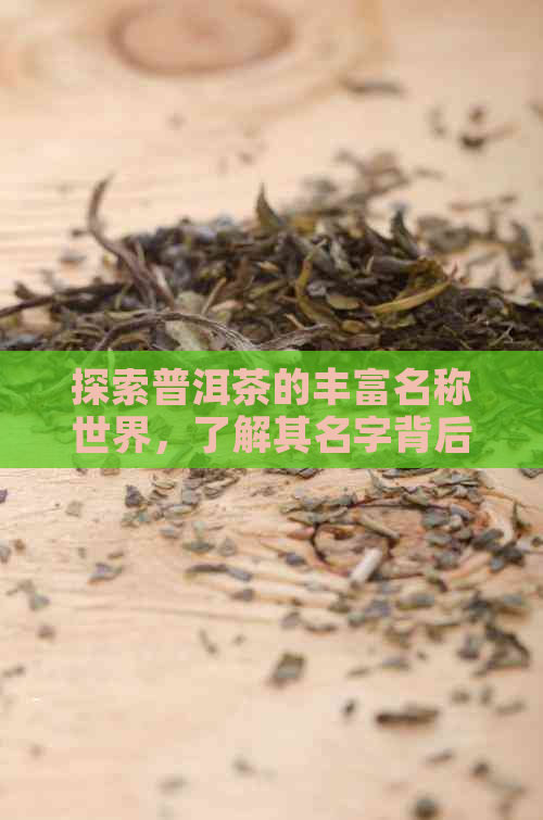 探索普洱茶的丰富名称世界，了解其名字背后的文化与故事