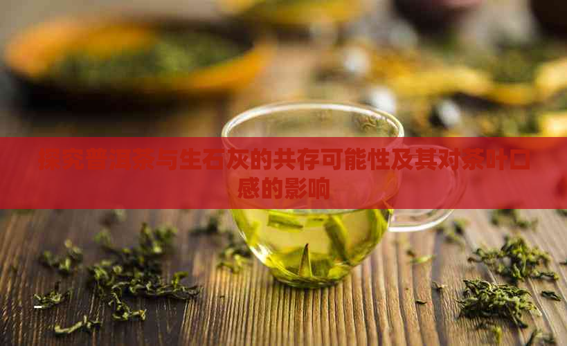 探究普洱茶与生石灰的共存可能性及其对茶叶口感的影响