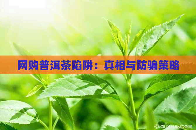 网购普洱茶陷阱：真相与防骗策略