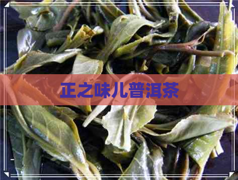 正之味儿普洱茶