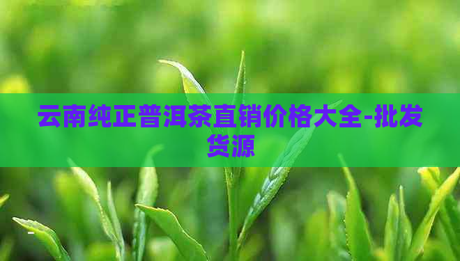 云南纯正普洱茶直销价格大全-批发货源