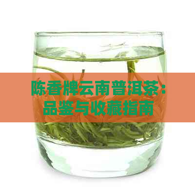 陈香牌云南普洱茶：品鉴与收藏指南