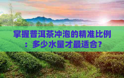 掌握普洱茶冲泡的精准比例：多少水量才最适合？