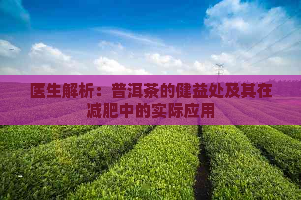 医生解析：普洱茶的健益处及其在减肥中的实际应用