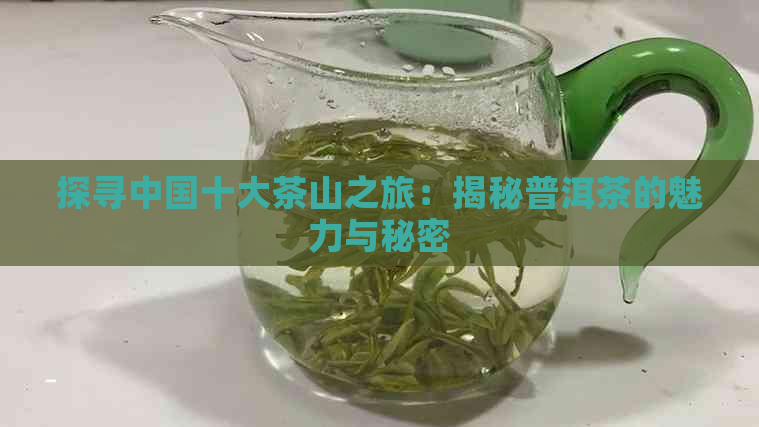 探寻中国十大茶山之旅：揭秘普洱茶的魅力与秘密