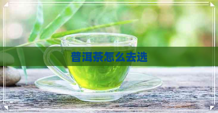 普洱茶怎么去选