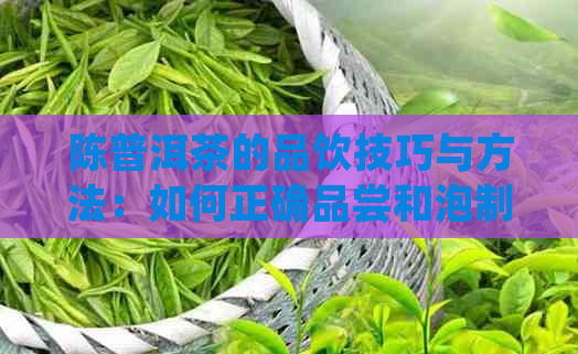 陈普洱茶的品饮技巧与方法：如何正确品尝和泡制陈年普洱茶？