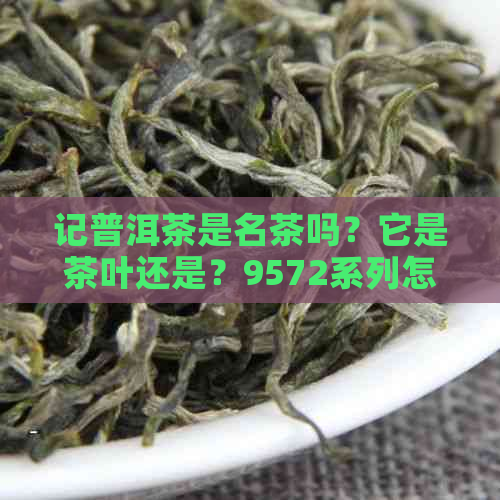 记普洱茶是名茶吗？它是茶叶还是？9572系列怎么样？