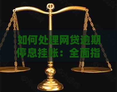 如何处理网贷逾期停息挂账：全面指南解答用户疑问