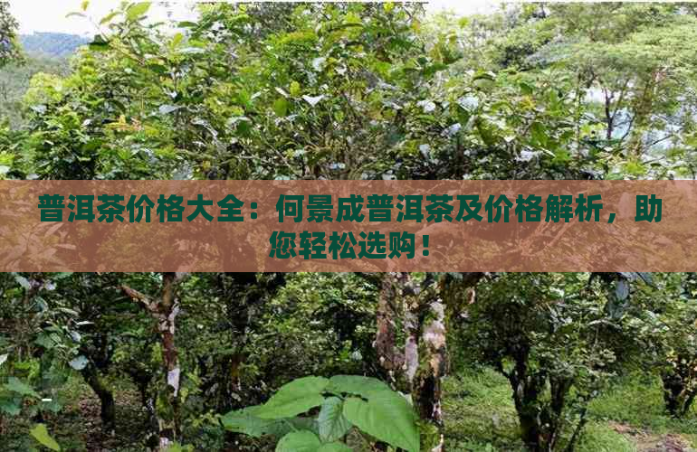 普洱茶价格大全：何景成普洱茶及价格解析，助您轻松选购！