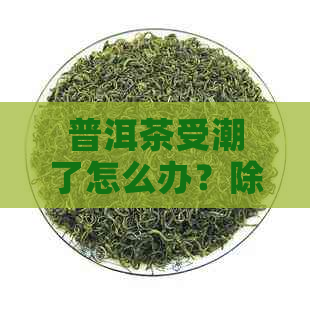 普洱茶受潮了怎么办？除了吹风机，还有其他有效的解救方法吗？