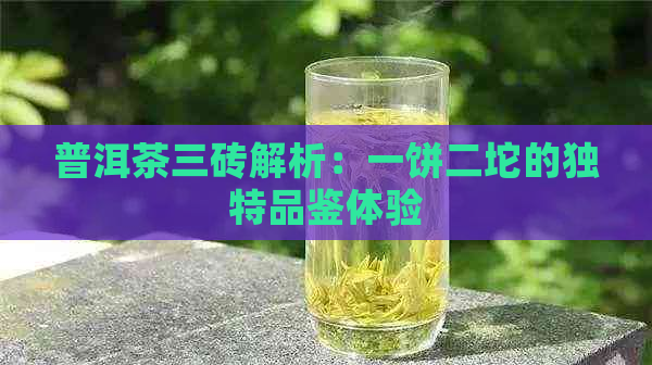 普洱茶三砖解析：一饼二坨的独特品鉴体验