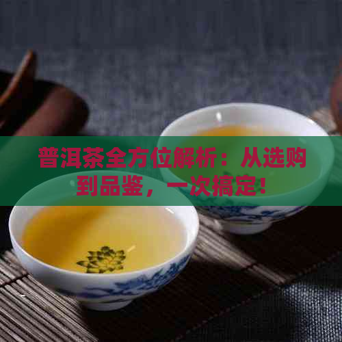 普洱茶全方位解析：从选购到品鉴，一次搞定！