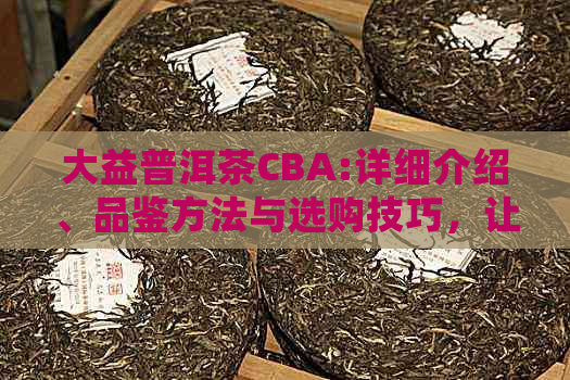 大益普洱茶CBA:详细介绍、品鉴方法与选购技巧，让你成为茶叶专家！