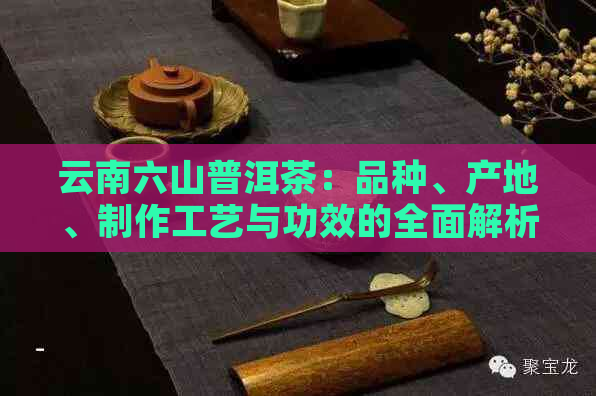 云南六山普洱茶：品种、产地、制作工艺与功效的全面解析