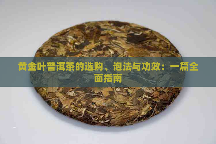 黄金叶普洱茶的选购、泡法与功效：一篇全面指南