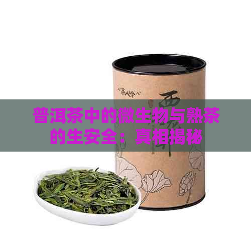 普洱茶中的微生物与熟茶的生安全：真相揭秘