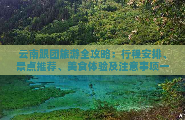 云南跟团旅游全攻略：行程安排、景点推荐、美食体验及注意事项一文详解