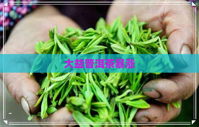 大益普洱茶暴涨