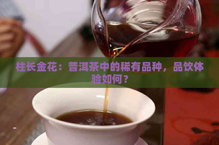 柱长金花：普洱茶中的稀有品种，品饮体验如何？