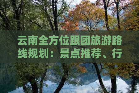 云南全方位跟团旅游路线规划：景点推荐、行程详解、费用分析及注意事项