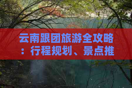 云南跟团旅游全攻略：行程规划、景点推荐、住宿和交通信息一应俱全