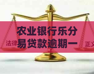 农业银行乐分易贷款逾期一天的后果与宽限期攻略