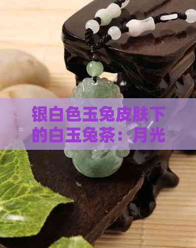 银白色玉兔皮肤下的白玉兔茶：月光下翩翩的小兔