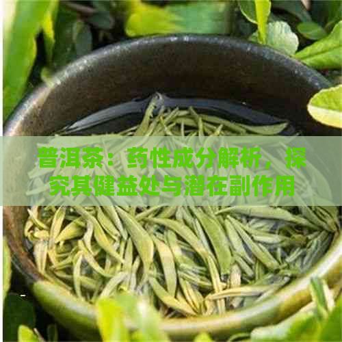 普洱茶：药性成分解析，探究其健益处与潜在副作用