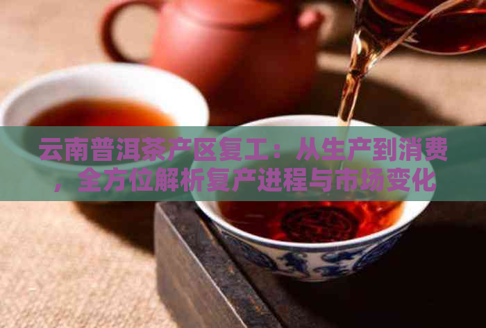 云南普洱茶产区复工：从生产到消费，全方位解析复产进程与市场变化