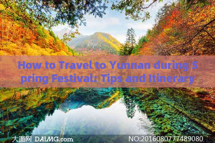 How to Travel to Yunnan during Spring Festival: Tips and Itinerary