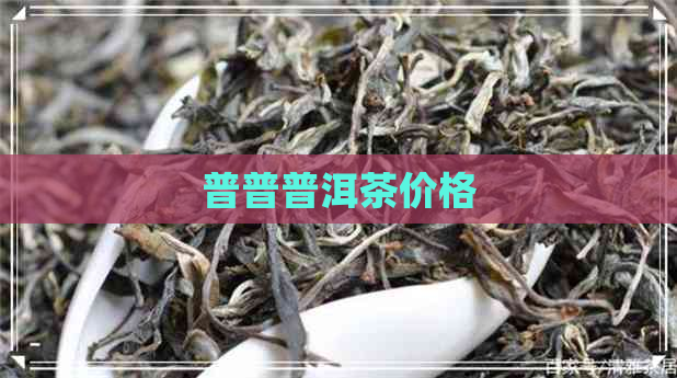 普普普洱茶价格