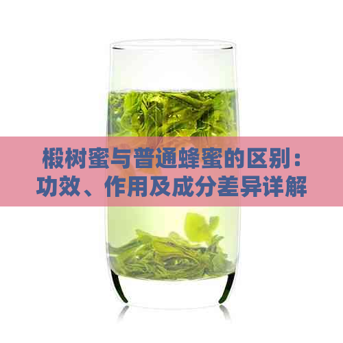 椴树蜜与普通蜂蜜的区别：功效、作用及成分差异详解