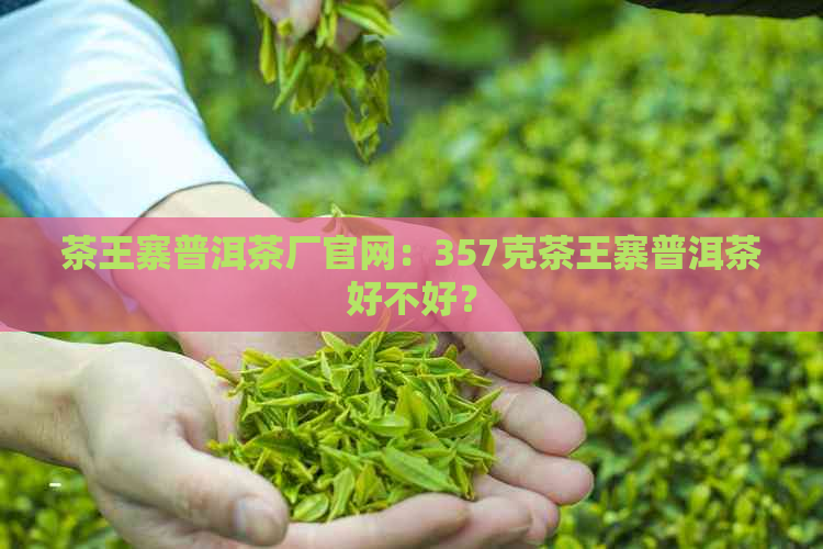 茶王寨普洱茶厂官网：357克茶王寨普洱茶好不好？