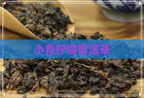 小青柠檬普洱茶