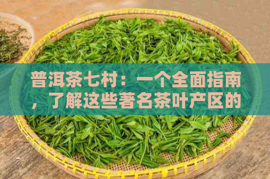 普洱茶七村：一个全面指南，了解这些著名茶叶产区的特色与历