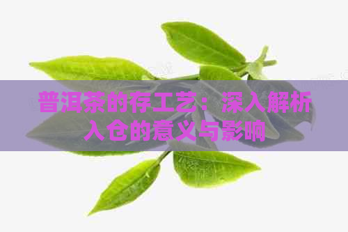 普洱茶的存工艺：深入解析入仓的意义与影响