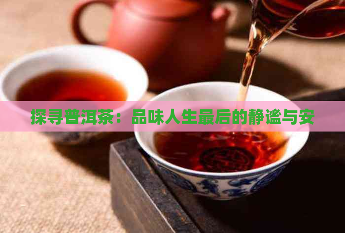 探寻普洱茶：品味人生最后的静谧与安