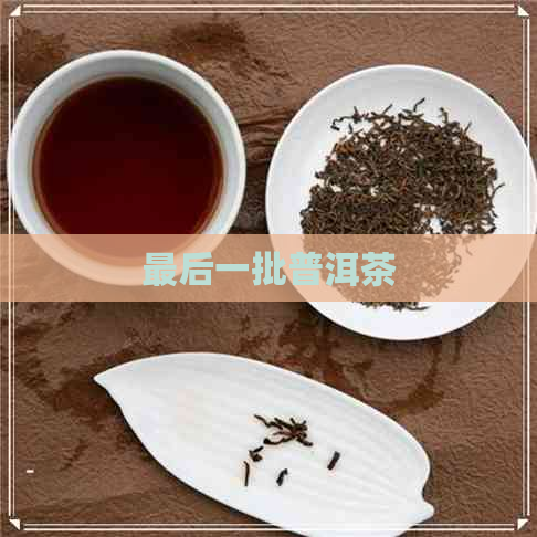 最后一批普洱茶