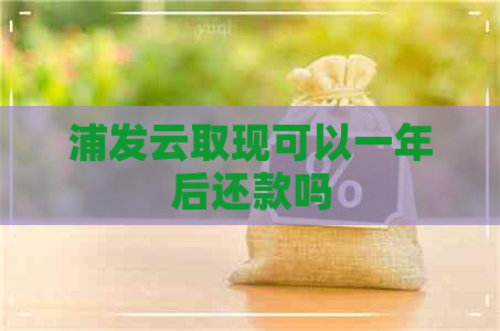 浦发云取现可以一年后还款吗